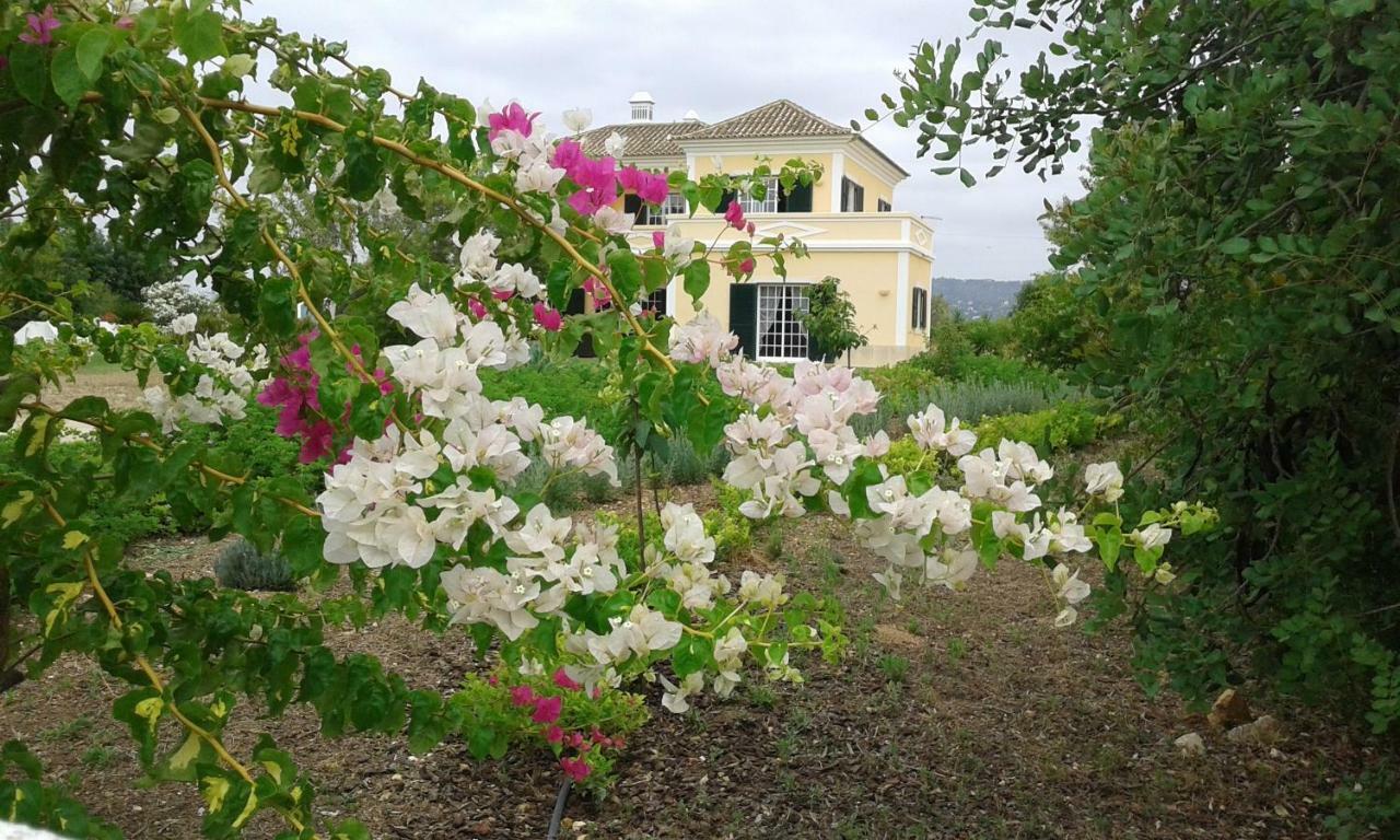 오양 Casa Dos Ventos B&B 외부 사진